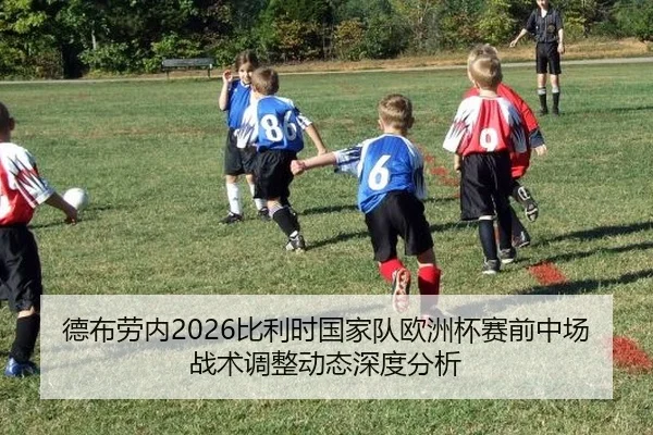 德布劳内2026比利时国家队欧洲杯赛前中场战术调整动态深度分析